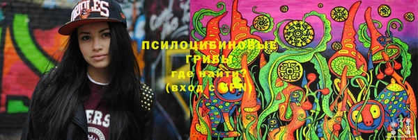ГАЛЛЮЦИНОГЕННЫЕ ГРИБЫ Алексеевка