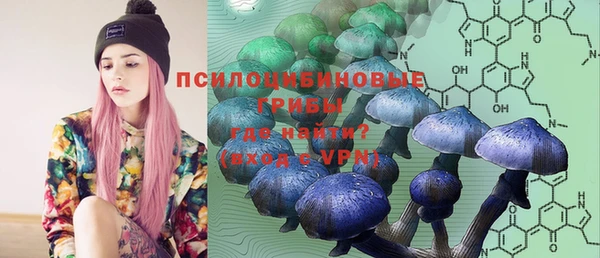 бутират Алексин