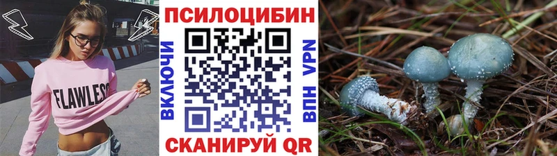 где найти наркотики  MEGA зеркало  Псилоцибиновые грибы ЛСД  Игарка 